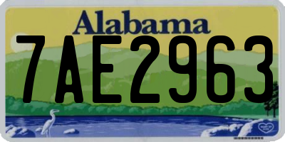 AL license plate 7AE2963