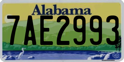 AL license plate 7AE2993