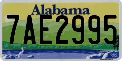 AL license plate 7AE2995
