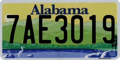 AL license plate 7AE3019