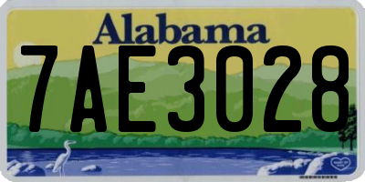 AL license plate 7AE3028