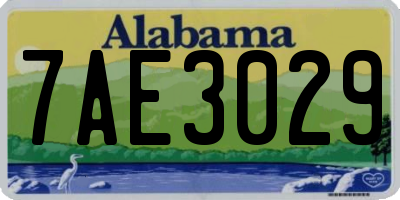 AL license plate 7AE3029