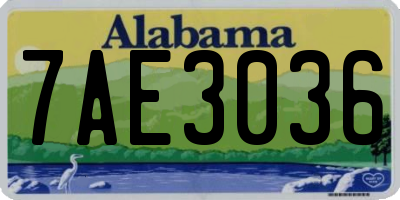 AL license plate 7AE3036