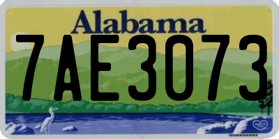 AL license plate 7AE3073
