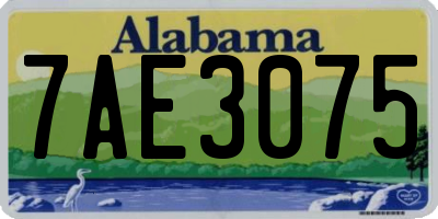 AL license plate 7AE3075
