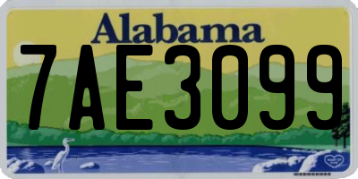 AL license plate 7AE3099
