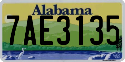 AL license plate 7AE3135
