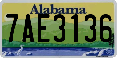 AL license plate 7AE3136