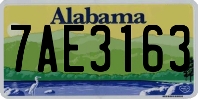 AL license plate 7AE3163