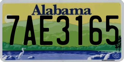 AL license plate 7AE3165