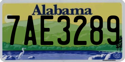 AL license plate 7AE3289