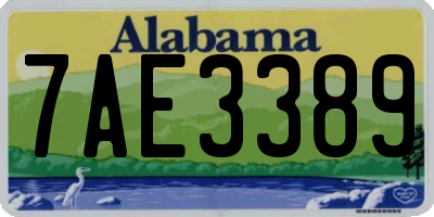AL license plate 7AE3389