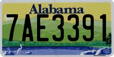 AL license plate 7AE3391