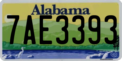 AL license plate 7AE3393