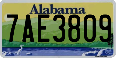 AL license plate 7AE3809