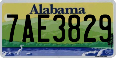 AL license plate 7AE3829