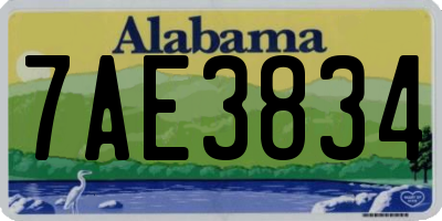 AL license plate 7AE3834