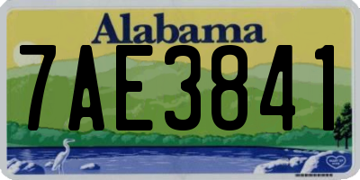 AL license plate 7AE3841