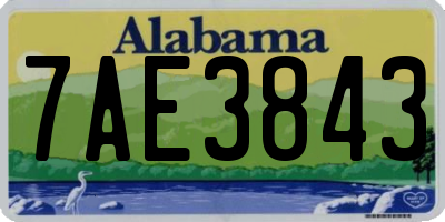 AL license plate 7AE3843