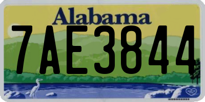 AL license plate 7AE3844