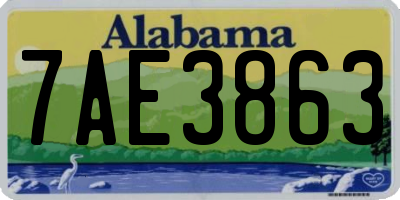 AL license plate 7AE3863