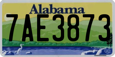 AL license plate 7AE3873