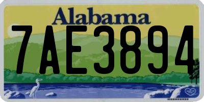 AL license plate 7AE3894