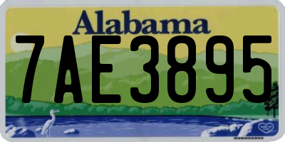 AL license plate 7AE3895