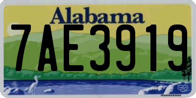 AL license plate 7AE3919