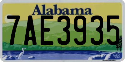 AL license plate 7AE3935
