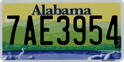 AL license plate 7AE3954