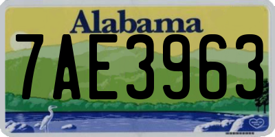 AL license plate 7AE3963
