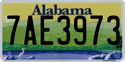 AL license plate 7AE3973