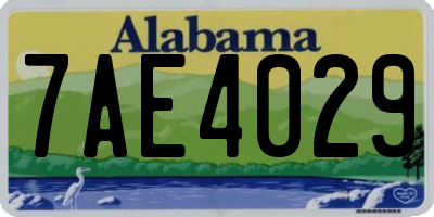 AL license plate 7AE4029