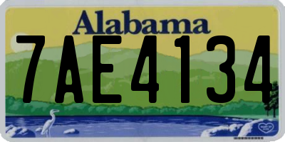 AL license plate 7AE4134