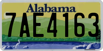 AL license plate 7AE4163