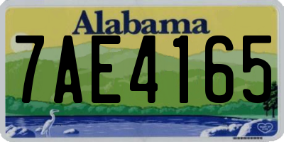 AL license plate 7AE4165