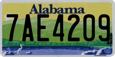AL license plate 7AE4209