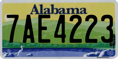 AL license plate 7AE4223