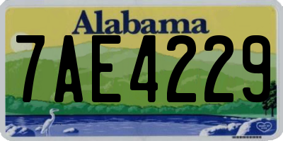 AL license plate 7AE4229