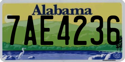 AL license plate 7AE4236