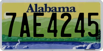 AL license plate 7AE4245