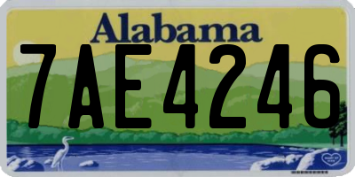AL license plate 7AE4246