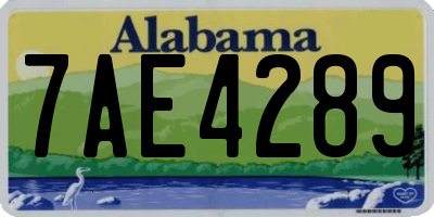 AL license plate 7AE4289