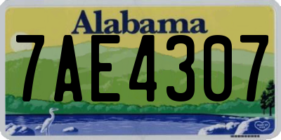 AL license plate 7AE4307
