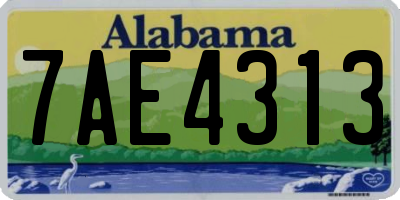 AL license plate 7AE4313
