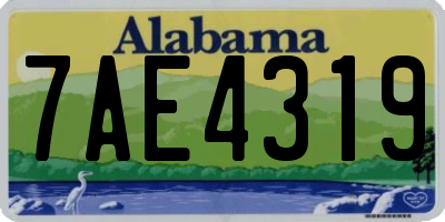 AL license plate 7AE4319