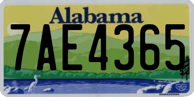 AL license plate 7AE4365