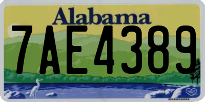 AL license plate 7AE4389