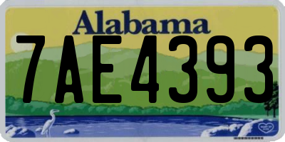 AL license plate 7AE4393